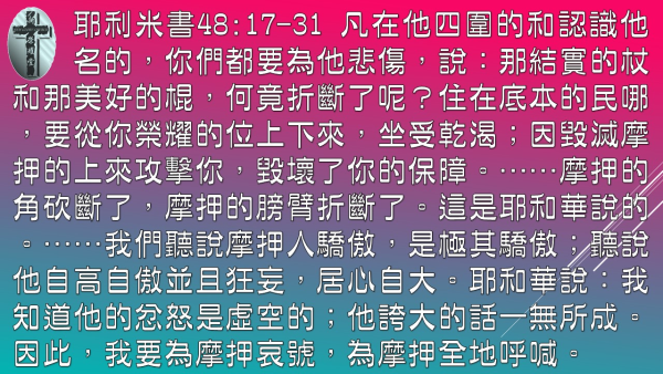 05.JPG