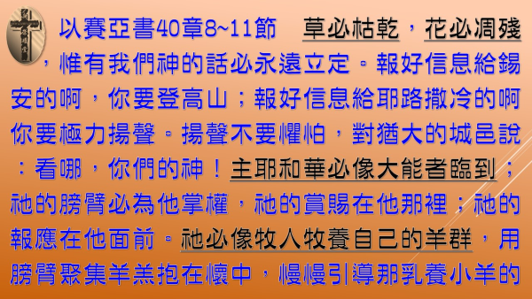 04.JPG