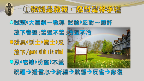05.JPG
