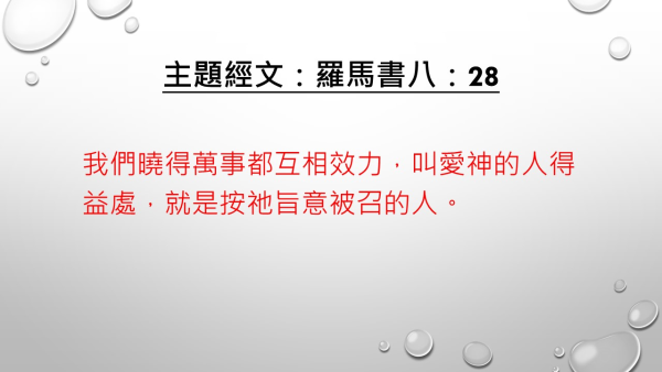 06.JPG