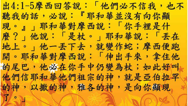 投影片4.JPG