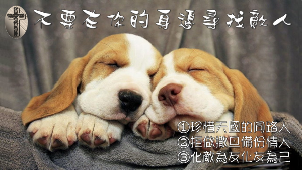 投影片92.JPG