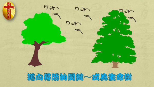 投影片1.JPG