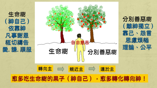 投影片9.JPG