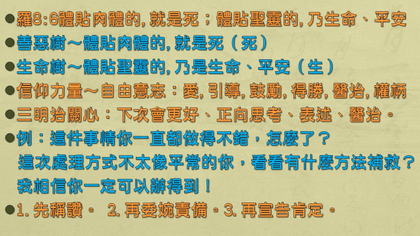 投影片91.JPG