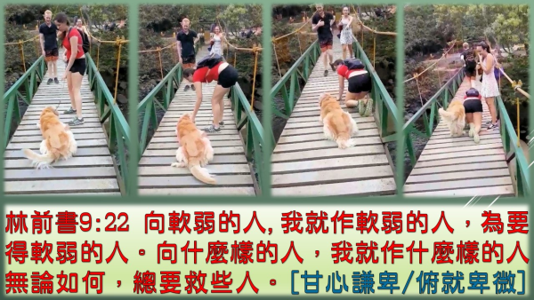 投影片91.JPG