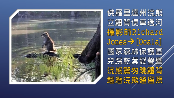投影片1.JPG