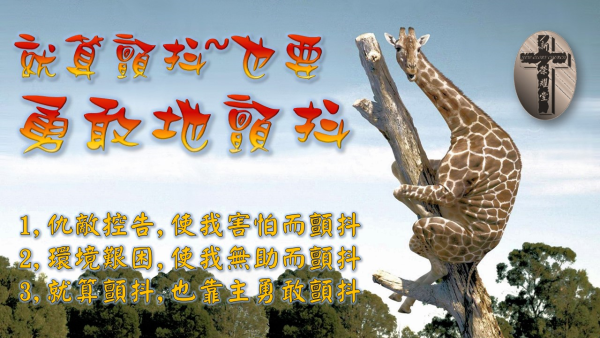 投影片92.JPG