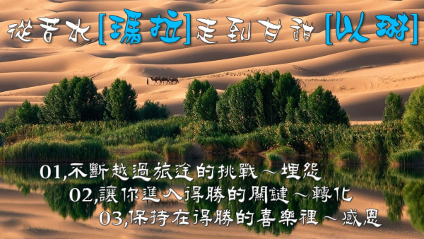 投影片95.JPG