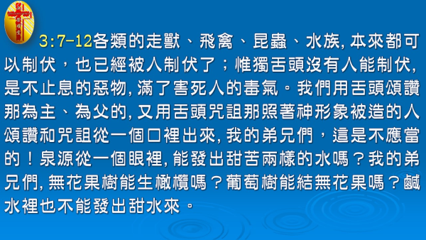 投影片6.JPG