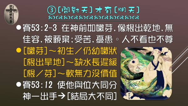 08.jpg