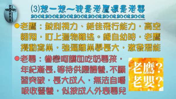 投影片91.JPG