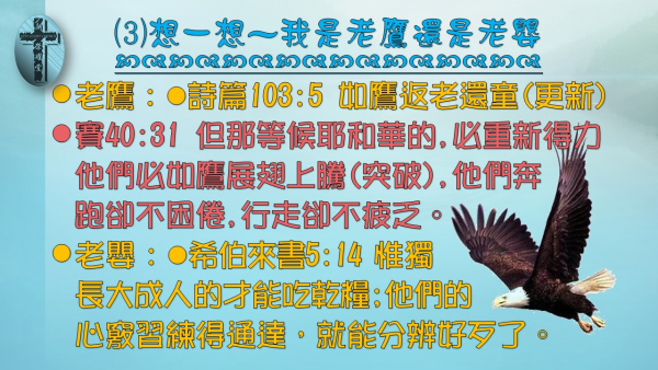 投影片92.JPG