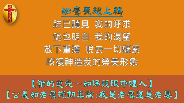 投影片93.JPG