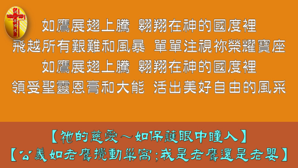 投影片95.JPG