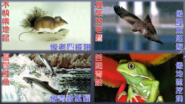 投影片8.JPG