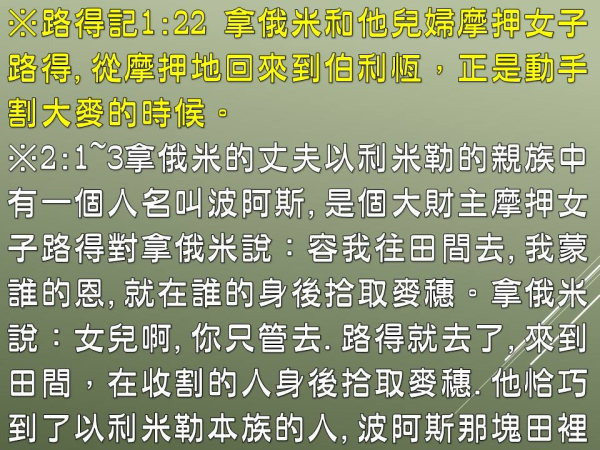 02.jpg