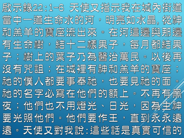 02.JPG