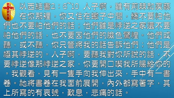 03.jpg