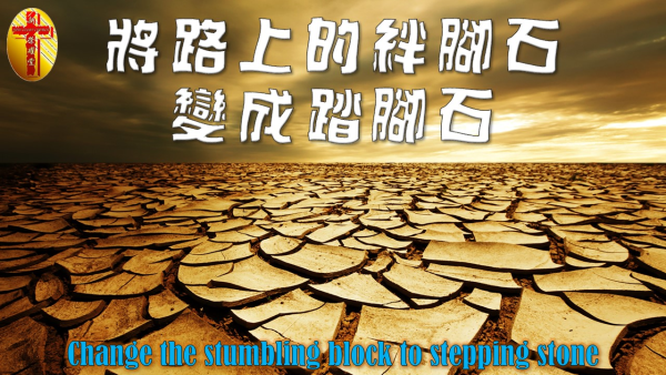 02.JPG