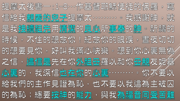 04.jpg