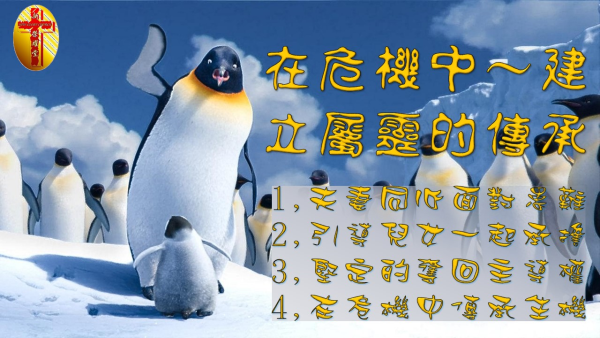 12.JPG