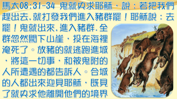 04.jpg