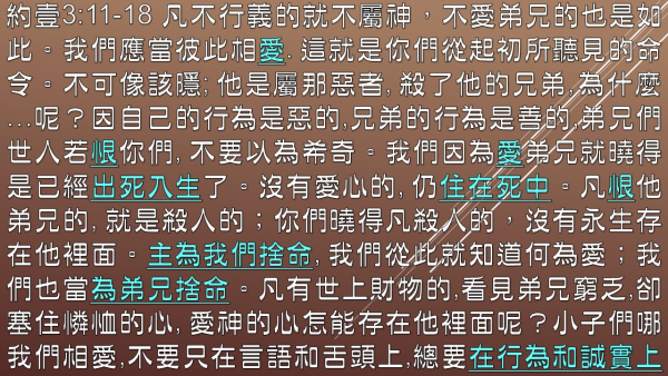 03.JPG