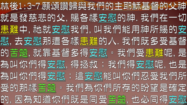 04.JPG