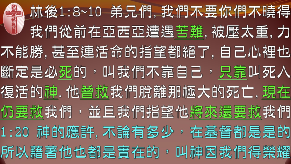 05.JPG