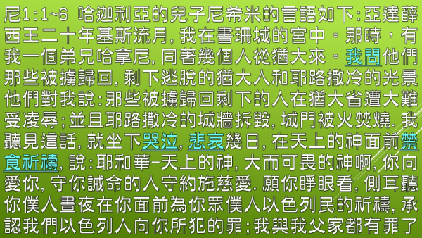 04.JPG
