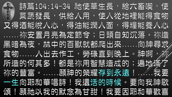 03.JPG