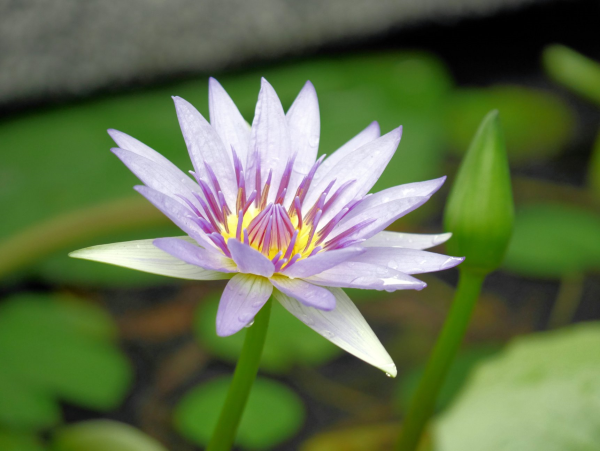圖片-06.jpg