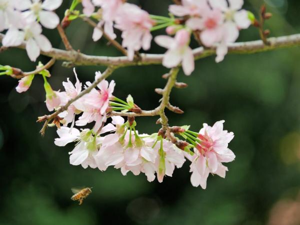 圖片-02.jpg