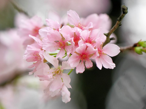 圖片-03.jpg