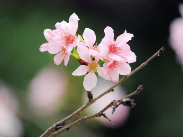 圖片-04.jpg