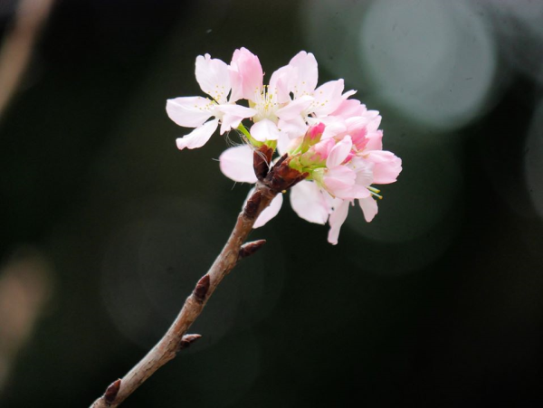 圖片-05.jpg