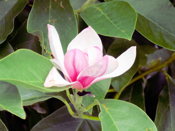 圖片-08.jpg