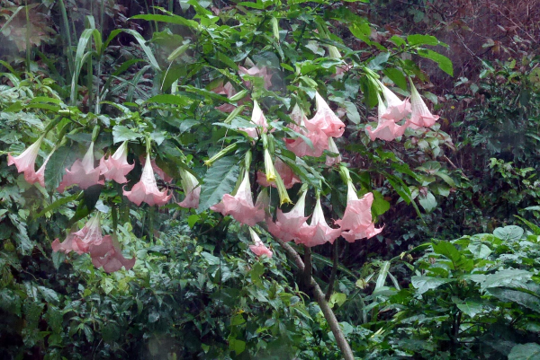 圖片-04.jpg