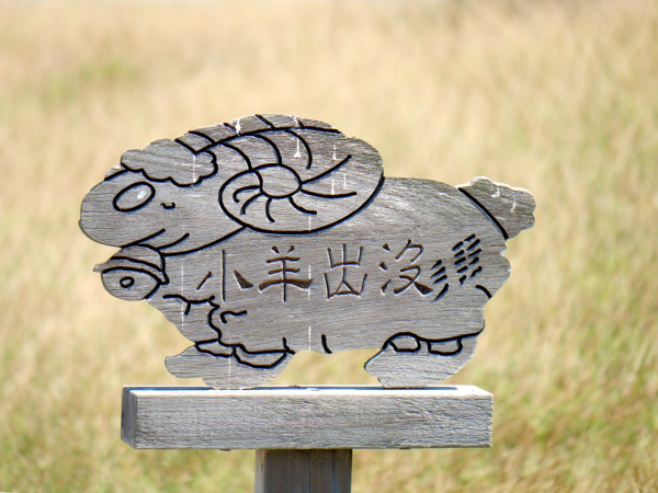 圖片-12.jpg