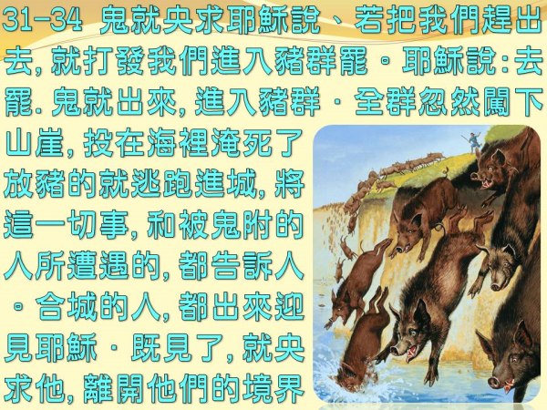 圖片-05.JPG