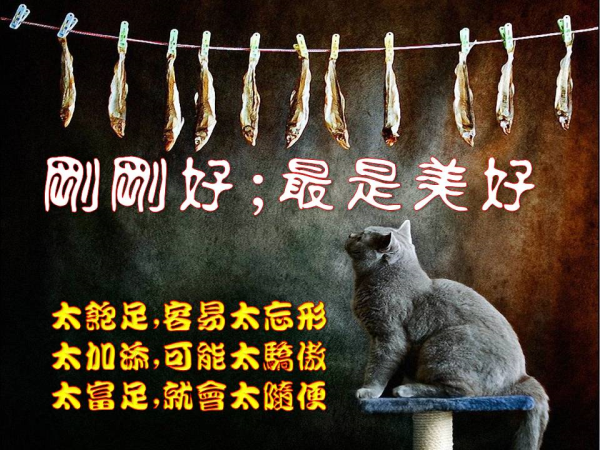 圖片-13.JPG
