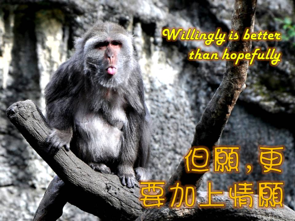 圖片-01.JPG