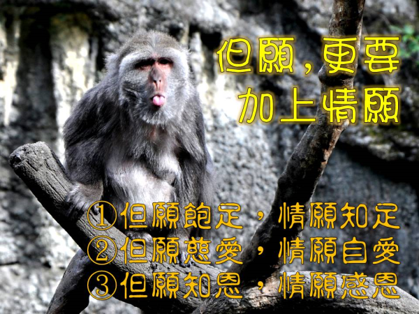圖片-11.JPG