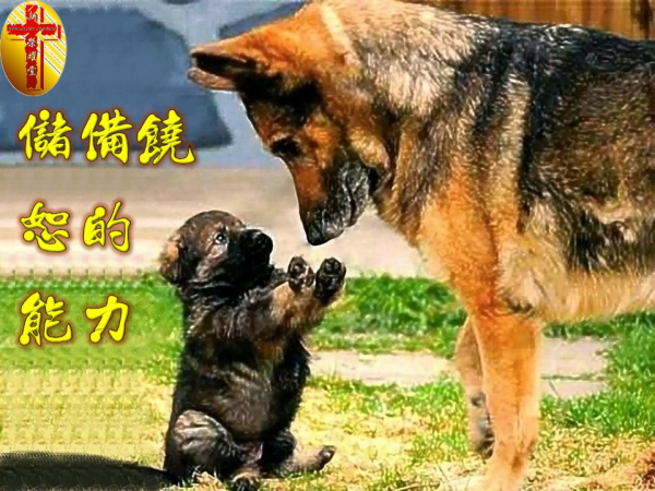 圖片-01.JPG