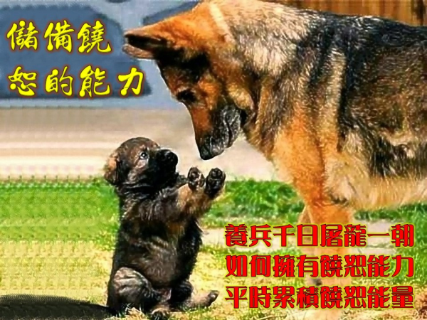 圖片-12.JPG