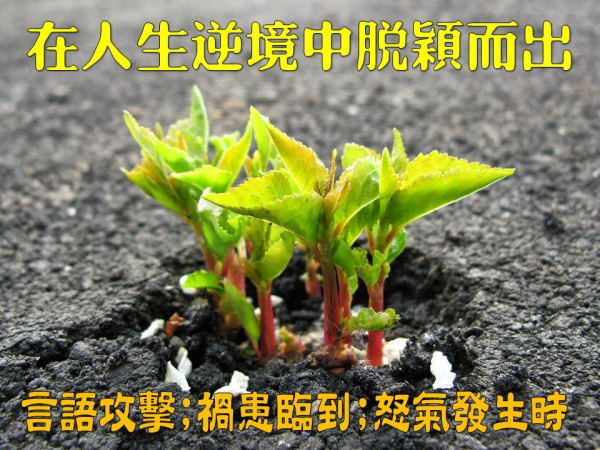 圖片-12.jpg