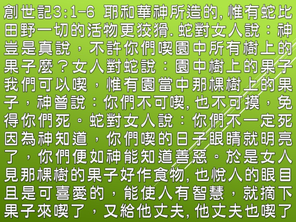圖片-03.JPG