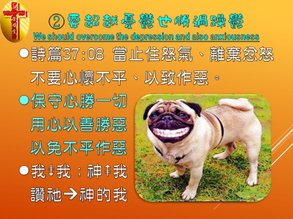 圖片-08.JPG