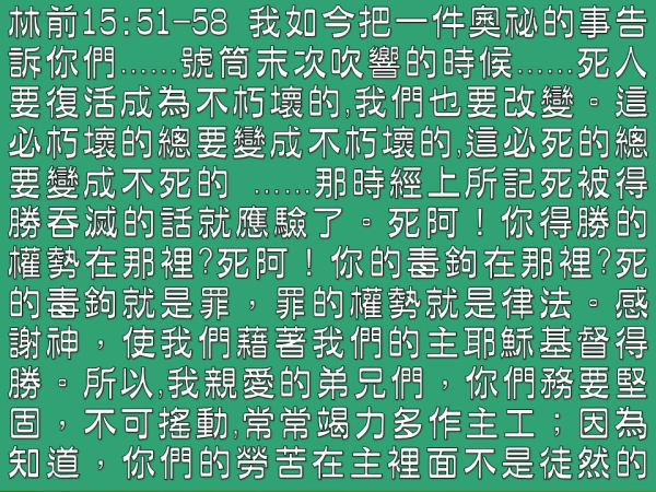 圖片-04.JPG